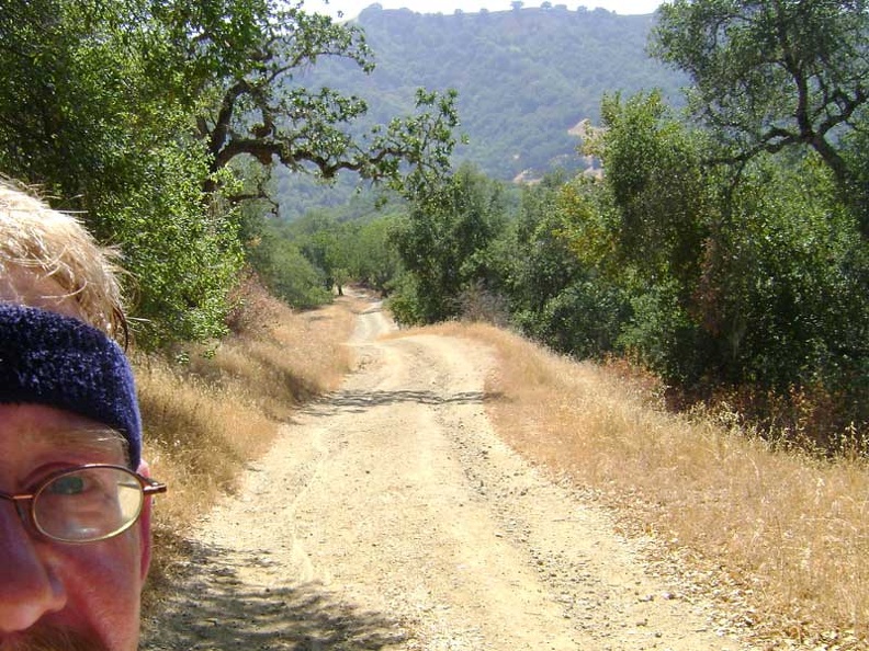 The climb up Wagon Road becomes more moderate after the initial steep section out of Hunting Hollow