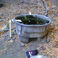 I filter some cold water from the spring behind Willson Camp