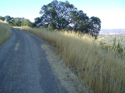 Beyond Willson Camp, some of the rise on Wagon Road is very gentle and easy to ride as it rolls along the ridges