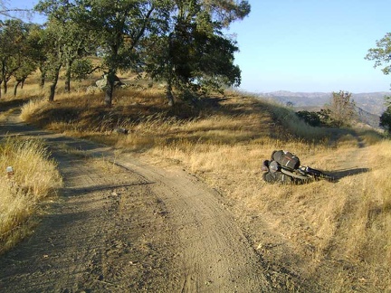 Just beyond the junction of Coit Road, I pass a lesser trail on my right, Live Oak Spring Trail, and decide to take it