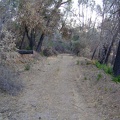 Live Oak Spring Trail, Henry Coe State Park