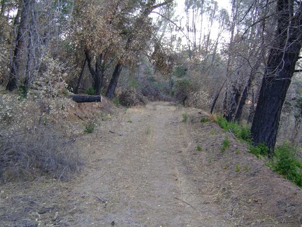 Live Oak Spring Trail, Henry Coe State Park