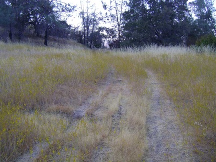 After 0.8 miles, Live Oak Spring Trail splits into an upper and a lower trail trail for the next half mile