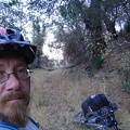 A downed tree on Live Oak Spring Trail, Henry Coe State Park