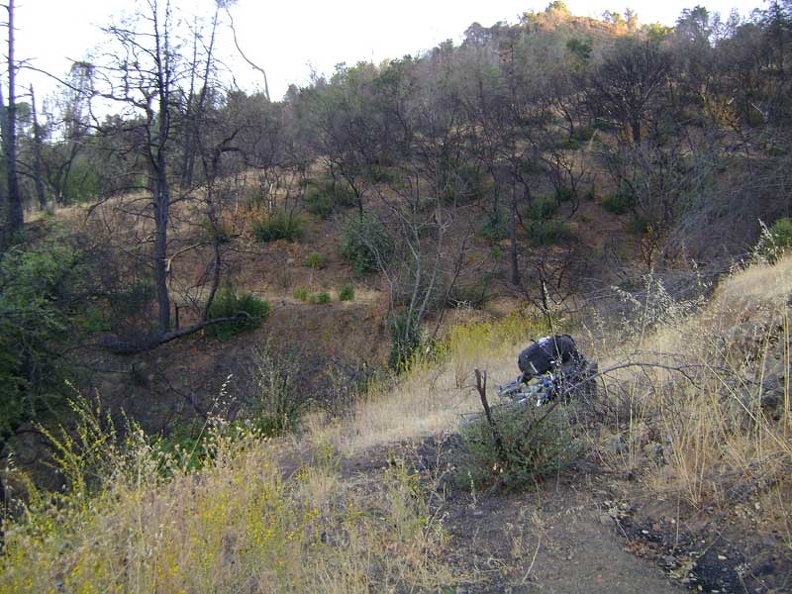 More fire damage on the upper Live Oak Spring Trail