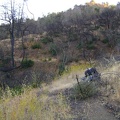 More fire damage on the upper Live Oak Spring Trail