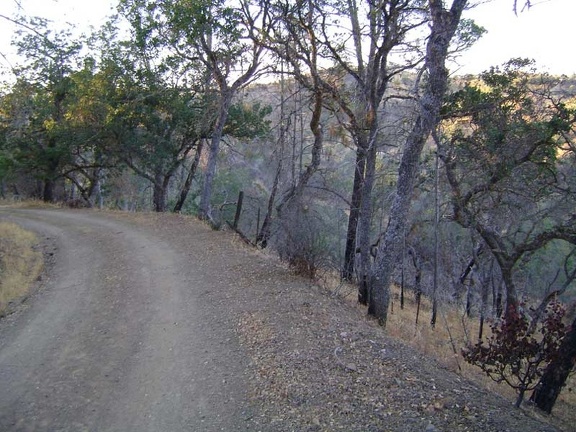 Soon enough, I'm back on Coit Road for the final 0.7 miles down to Pacheco Camp