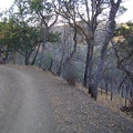 Soon enough, I'm back on Coit Road for the final 0.7 miles down to Pacheco Camp