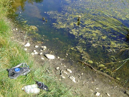 I can smell the plant growth in the lake under the hot morning sun as I pump water through the water filter