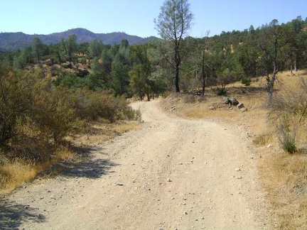 Orestimba Creek Road climbs out of the creek, then drops back down into the gravel, then back up on dry land