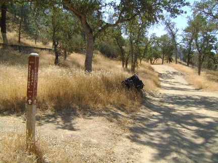 I forgot to look for the trail to Mustang Pond, but I haven't forgotten to look for the trail to Kingbird Pond; here it is