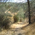 Kingbird Pond Trail dips down to a dry (in summer) drainage, then rises up the other side