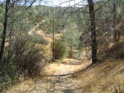 Kingbird Pond Trail dips down to a dry (in summer) drainage, then rises up the other side