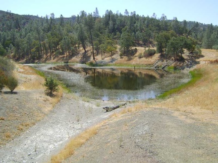 I walk around a bend and here it is: Kingbird Pond