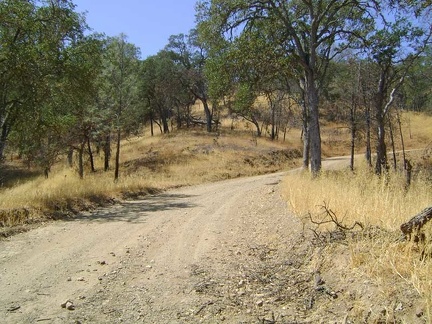 The climb up County Line Road isn't steep, but I just can't seem to get any energy going on this hot day