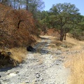 At the bottom of the hill, I cross dry Mississippi Creek again