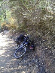 It's uphill for the next mile to the top of Pacheco Ridge, 550 feet above