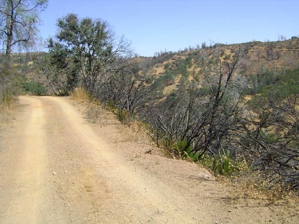 The next stage of Coit Road is the short drop down to Mississippi Creek; this only takes a few minutes