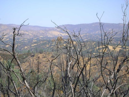 I look down across the Orestimba Wilderness through some burned chamise skeletons from last year's brush fire