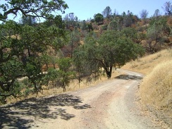 The switchbacks down County Line Road from Coit Road to Orestimba Creek make for a fun downhill