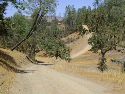 I get back on the bike and continue down Orestimba Creek Road, which often avoids the creek by winding up and down nearby hills