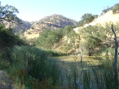 Postcard-suitable photo of the north end of Paradise Lake, Henry Coe State Park