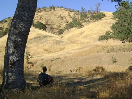 My next break stop: I wait for the sun to stop shining on my tent by sitting in the shade of a nearby oak