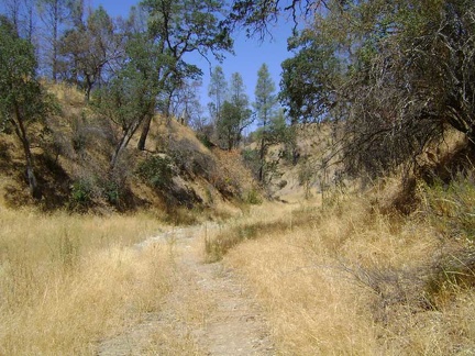 It's a slow bumpy ride and it's fun to try to follow old tire tracks in the grass and stay on the "road"