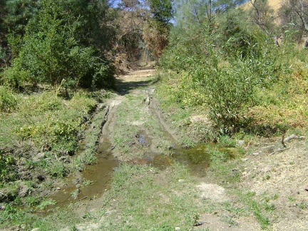  I reach this muddy area on Red Creek Road and figure that this must be water coming down the hill from Hatch Spring