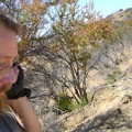 Finally, hiding in the "shade" of a few chamise bushes, I get enough of a signal to make a call on my cell phone
