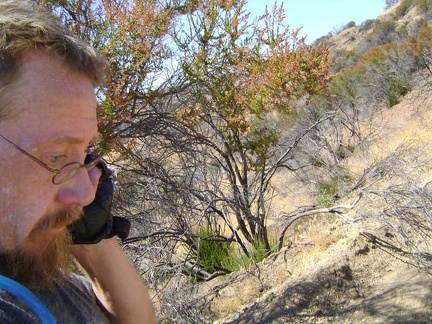 Finally, hiding in the "shade" of a few chamise bushes, I get enough of a signal to make a call on my cell phone