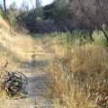 Of course, what comes up must come down, and Red Creek Road drops back down to the dry stream bed