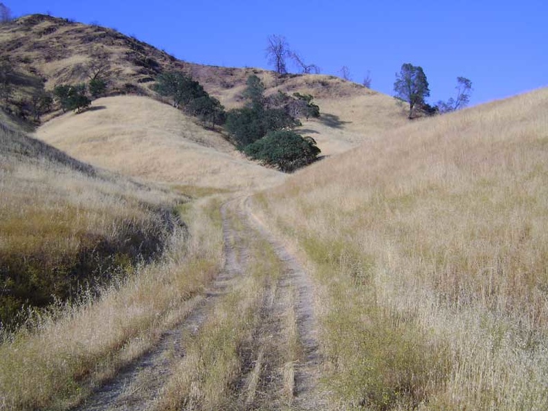 A half-mile rise out of the canyon, and then a ride across Paradise Flat back to the lake...