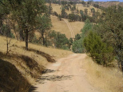 The steep road ahead doesn't look right, so I take a long break on a big rock near here and get out my map