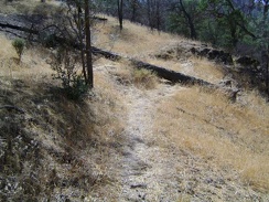 A downed pine tree lays across a switchback on the Rooster Comb Trail