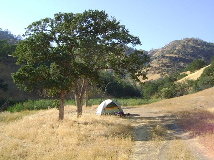 The tent is intact; I always wonder how many curious animals visit it during my absence