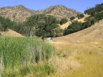 Morning in the hot sun at Paradise Lake, Henry Coe State Park