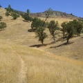 Rooster Comb Trail rises slowly up grasslands with occasional oaks