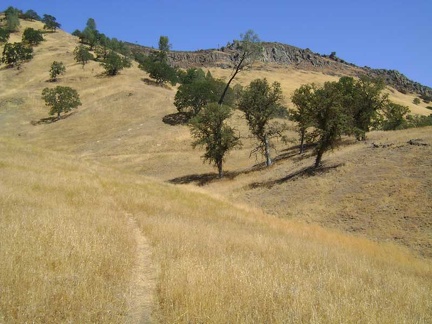Rooster Comb Trail rises slowly up grasslands with occasional oaks