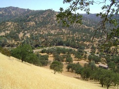View from Rooster Comb Trail of the privately owned ranch down below and the Orestimba Creek Road passing through it