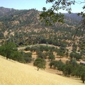 View from Rooster Comb Trail of the privately owned ranch down below and the Orestimba Creek Road passing through it