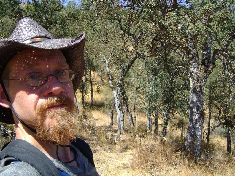 I walk through another area of small oaks that doesn't offer as much shade as one might expect