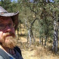 I walk through another area of small oaks that doesn't offer as much shade as one might expect