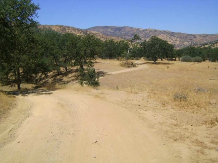 Hiking a segment of Orestimba Creek Road that I've never been on before, everything feels familiar again