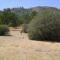 A number of ceanothus bushes dot the flat landscape just north of the private ranch