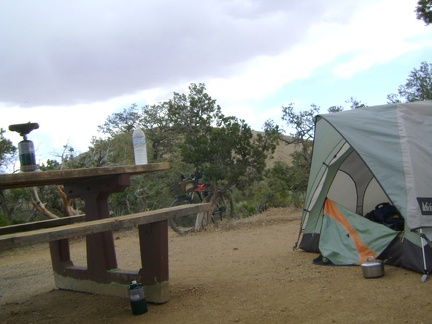 Morning at Mid Hills campground, Mojave National Preserve, before starting today's ride to Howe Spring