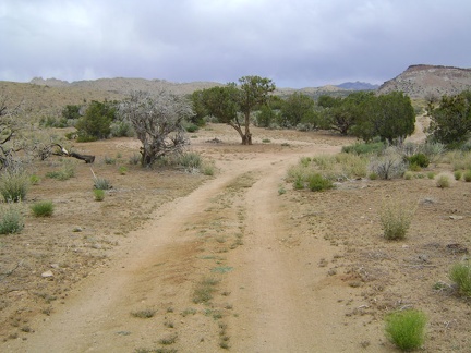 Just off Black Canyon Road on the shortcut road lies a campsite with a juniper tree