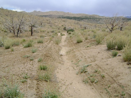 Beyond the campsite, the Black Canyon-Cedar Canyon shortcut road deteriorates