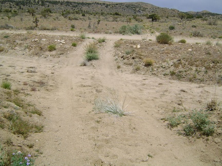 I arrive at the junction of Cedar Canyon Road too soon