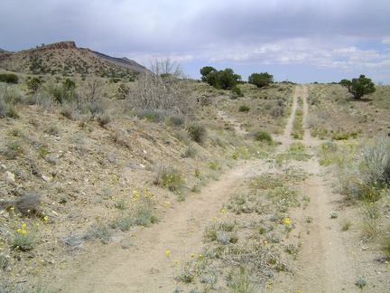 This appears to be an old alignment of the Mojave Road, running parallel to Cedar Canyon Road